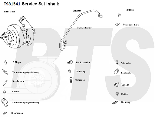 Compresor,sistem de supraalimentare T981541 BTS Turbo